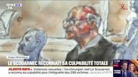 Joël Le Scouarnec reconnaît l'intégralité des faits qui lui sont reprochés