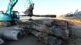 Les brise-lames en chêne de Saint-Malo lors d'un chantier de rénovation, le 23 novembre 2021 