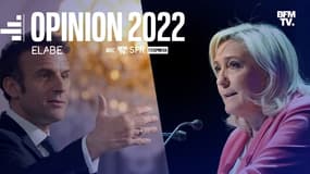 Emmanuel Macron et Marine Le Pen - Montage photos AFP