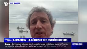 Huîtres du Bassin d'Arcachon interdites à la vente: "C'est un coup très dur apporté à la filière", explique cet ostréiculteur du Cap Ferret