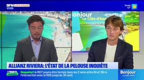 Allianz Riviera: l'état de la pelouse inquiète