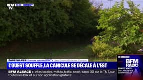 Franck Couderc, directeur d'un camping en Gironde: "Je pense que l'on doit être détruit à 90%"