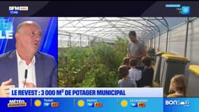 Planète locale du lundi 9 septembre - Le Revest : un potager alimente la cantine scolaire 
