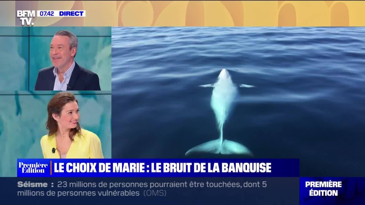 Les Choix de Marie