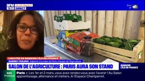 Paris: Audrey Pulvar favorable au maintien des critères environnementaux dans l'agriculture
