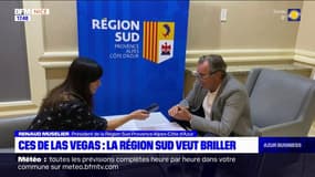 Provence-Alpes-Côte d'Azur: 15 start-up de la région présentes au CES de Las Vegas