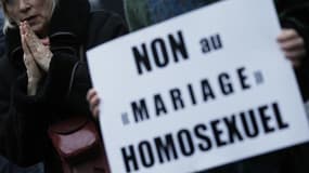 Frigide Barjot, chef de file des opposants au mariage homosexuel, a annoncé mercredi une nouvelle manifestation nationale pour le 26 mai, au lendemain de l'adoption par le Sénat par 179 voix contre 157 de l'article clé du projet de loi sur le mariage et l