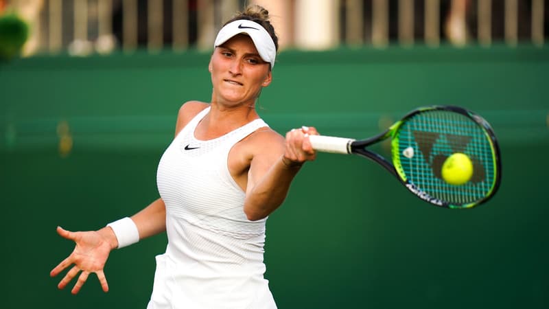 M. Vondrousova