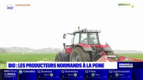 Normandie: le bio en danger face à l'inflation