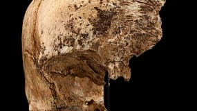 Entailles sur un crâne incomplet retrouvé lors de fouilles à Jamestown, en Virginie. Selon des chercheurs de l'institut Smithsonian, des colons installés dans cette ville se sont livrés à du cannibalisme pour survivre au très dur hiver de l'année 1609. Il