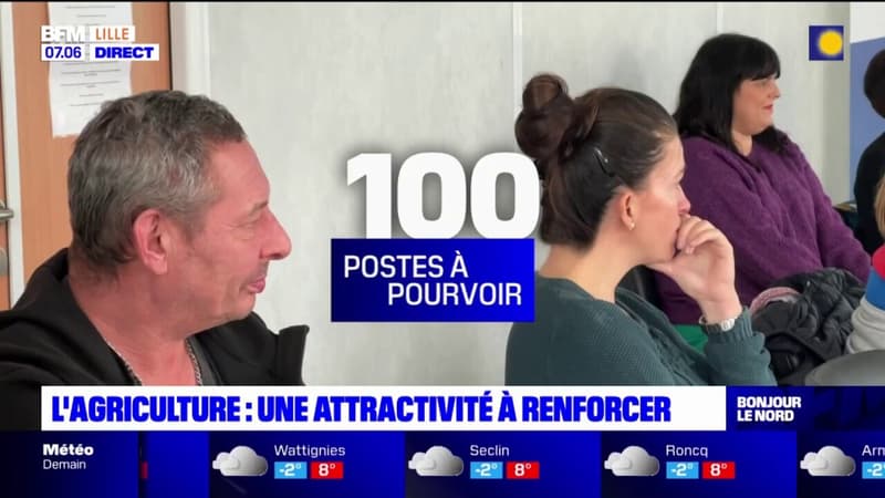 Pas-de-Calais: des demandeurs d'emploi découvrent le monde agricole