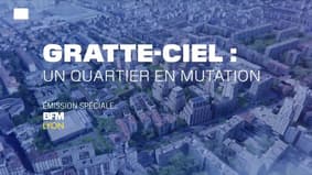 "Gratte-ciel à Villeurbanne, un quartier en mutation": l'intégrale de notre émission spéciale