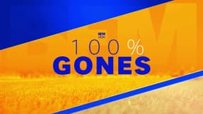 100% gones : Le best-of de l’année 2020 (1ère partie)