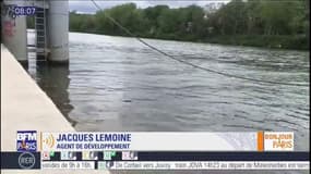 Du béton déversé dans la Seine à Nanterre: "il n'y a plus de faune, tout est brûlé", raconte Jacques Lemoine qui découvert cette pollution