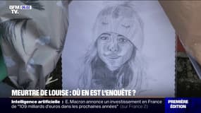Meurtre de Louise: l'enquête se poursuit à Épinay-sur-Orge pour retrouver les auteurs présumés