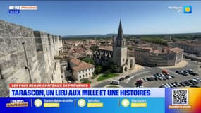 Les plus beaux châteaux de Provence: à la découverte de la forteresse de Tarascon