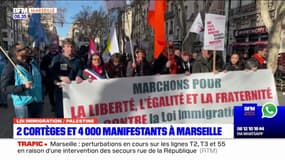 Marseille: au moins 4000 personnes manifestent contre la loi immigration et pour la Palestine