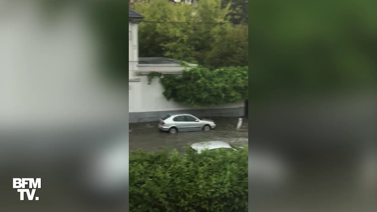 placeholder video