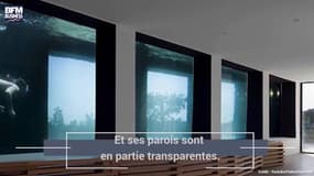 Cette villa à Bandol est dotée d’une piscine-aquarium