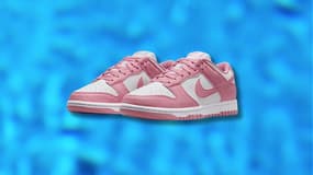 La paire ultime de Nike Dunk Low qui séduit toute une génération est à prix cassé