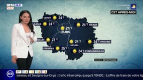 Météo Paris-Ile de France du 11 juillet: Du soleil sur tout le département !