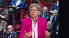 Sandrine Rousseau le 15 janvier 2025 sur RMC