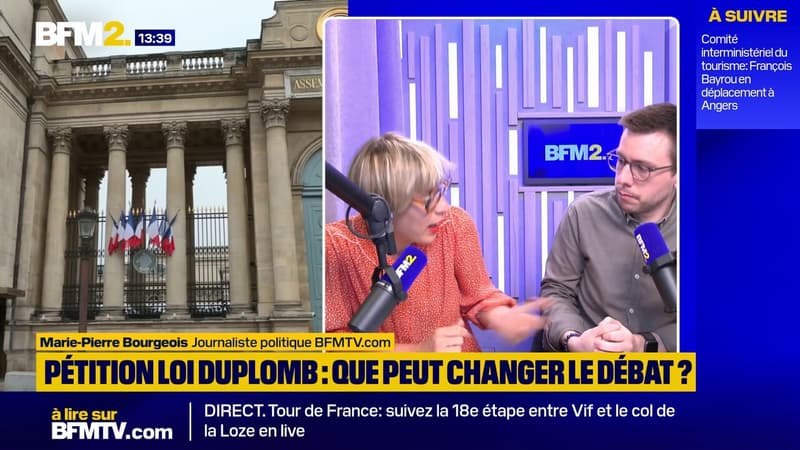 Loi Duplomb: une censure par le Conseil consitutionnel est-elle possible ?