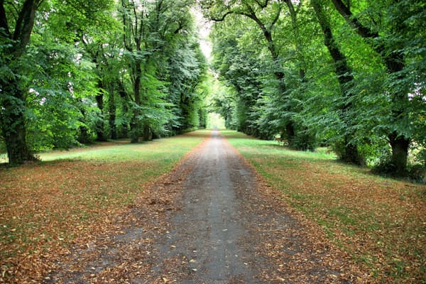 Rambouillet Rambouillet