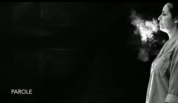 Extrait de la vidéo montrant la visualisation de l'écoulement d'air dans la production de voix et de parole Extrait de la vidéo montrant la visualisation de l'écoulement d'air dans la production de voix et de parole