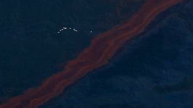 Bande de pétrole dans les eaux du Golfe du Mexique. Le gouvernement américain a intensifié ses efforts pour éviter une catastrophe écologique alors que l'énorme marée noire s'approche du delta du Mississippi, menaçant le littoral de la Louisiane et de tro