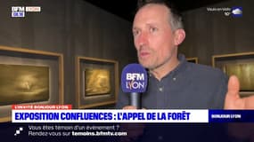 Musée des Confluences: "L'appel de la forêt", une nouvelle exposition à Lyon