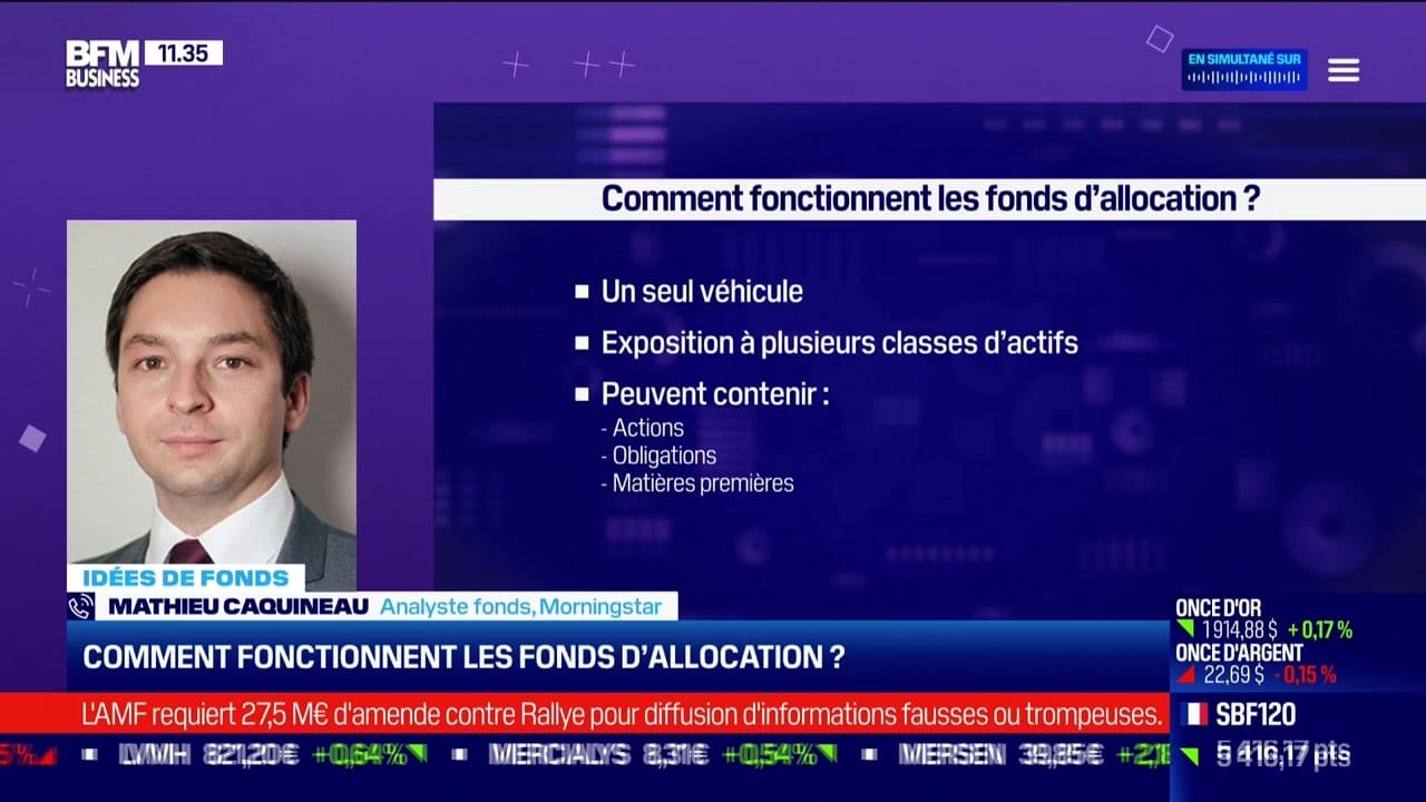 Idée De Fonds : Comment Fonctionnent Les Fonds D'allocation ? - 07/07