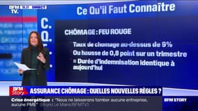 Assurance chômage: les nouvelles règles d'indemnisation à compter du 1er février