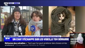 Le chat de Melaïna a été coupé en deux par un TGV, elle demande justice à la SNCF
