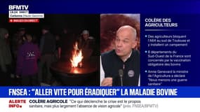 Situation agricole en France: "Cela fait des mois que c'est un sujet inflammable", dit Arnaud Rousseau (FNSEA)