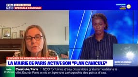 Canicule: "On oublie la question de la pollution de l'air" pour Anne Souyris, adjointe à la maire de Paris