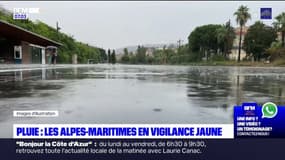 Alpes-Maritimes: le département placé en vigilance jaune pluie-inondation ce vendredi