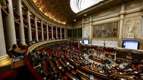 L'hémicycle de l'Assemblée nationale, à Paris, le 7 novembre 2023