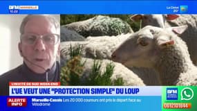 Les politiques invités à s'emparer de la question de la cohabitation entre éleveurs et loups