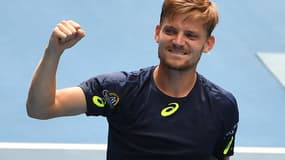 David Goffin 