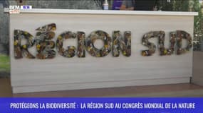 Protégeons la biodiversité : la Région Sud au Congrès Mondial de la Nature