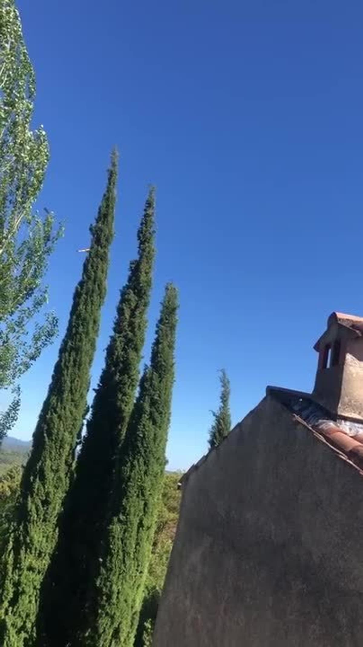 placeholder video