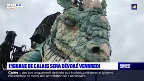 L'iguane de Calais, nouveau compagnon du dragon, sera dévoilé vendredi