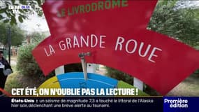 Livrodrome itinérant, lecture musicale...tous les moyens sont bons pour encourager à la lecture cet été 