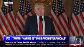 Donald Trump: "Le bilan de Kamala est horrible, elle est de gauche radicale à un point rarement égalé"