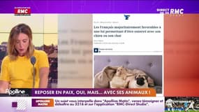Les histoires de Marguerite Dumont : Reposer en paix, oui, mais… avec ses animaux ! - 01/11