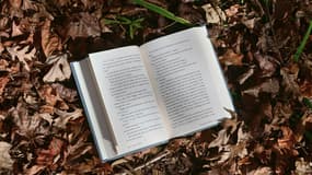 Mieux que La Femme de Ménage ? 3 thrillers pépites de Freida McFadden