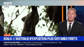 Le break du mardi 9 septembre