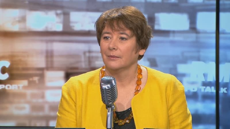 Laurence Abeille, députée EELV, ce mardi.