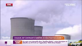 Canicule : EDF contraint d'arrêter un réacteur nucléaire ?